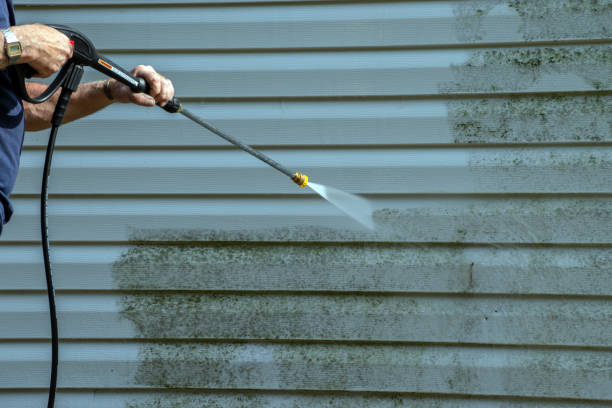 Best Patio and Deck Pressure Washing  in Electra, TX
