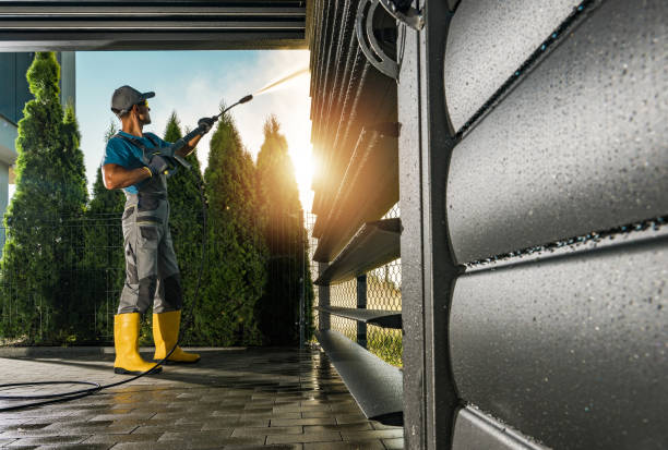 Animal Enclosure Cleaning in Electra, TX